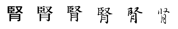 書体による違い 書体による違い