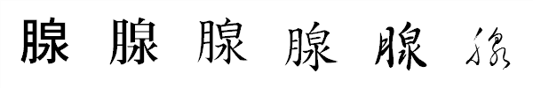 書体による違い 書体による違い