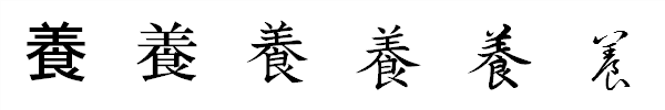 書体による違い 書体による違い