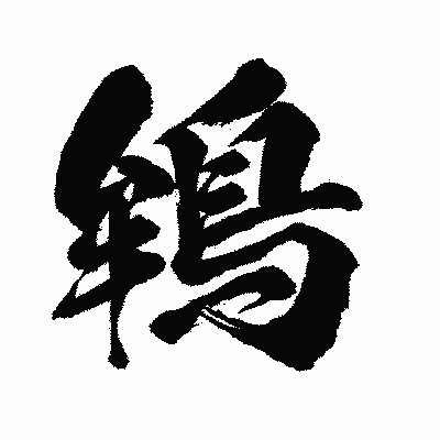 漢字「鴾」の闘龍書体画像