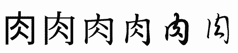 漢字「肉」の書体比較