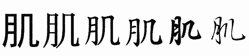漢字「肌」の書体比較