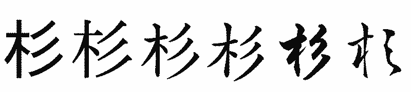 漢字「杉」の書体比較