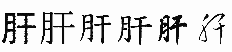 漢字「肝」の書体比較
