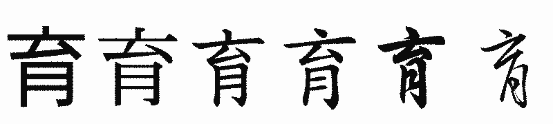 漢字「育」の書体比較