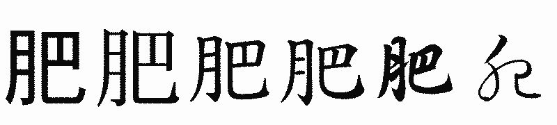 漢字「肥」の書体比較