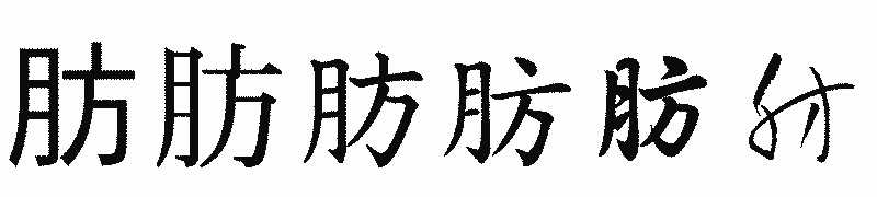 漢字「肪」の書体比較