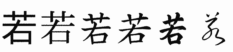 漢字「若」の書体比較