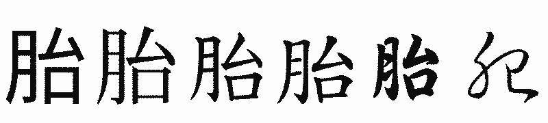 漢字「胎」の書体比較