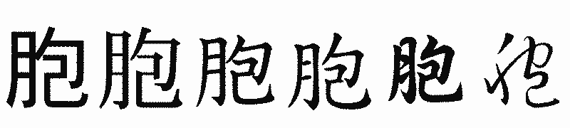 漢字「胞」の書体比較