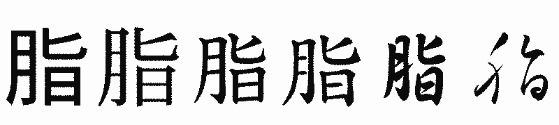 漢字「脂」の書体比較