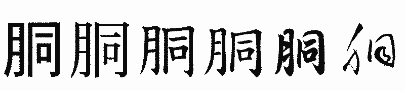 漢字「胴」の書体比較