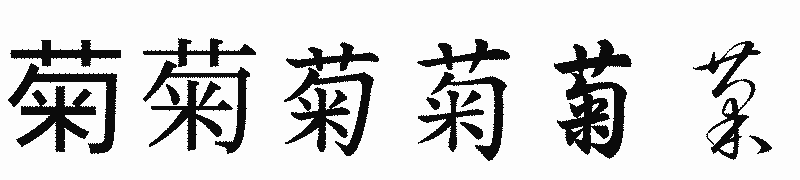漢字「菊」の書体比較