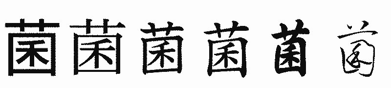 漢字「菌」の書体比較