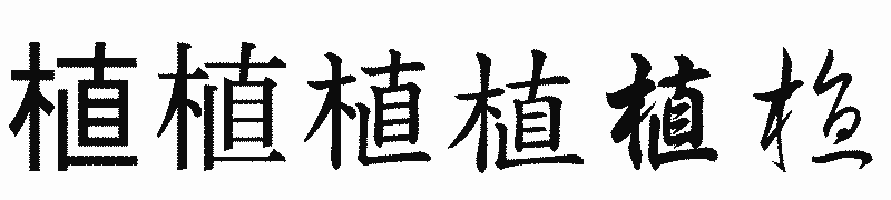 漢字「植」の書体比較