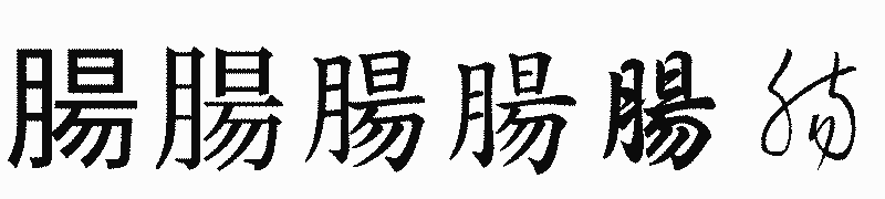 漢字「腸」の書体比較
