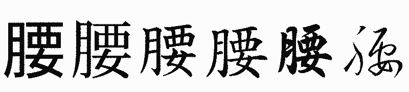 漢字「腰」の書体比較