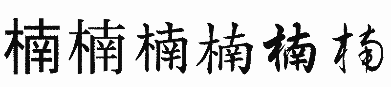 漢字「楠」の書体比較