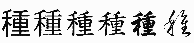 漢字「種」の書体比較