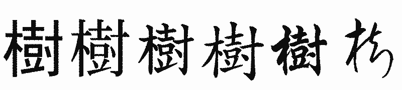 漢字「樹」の書体比較