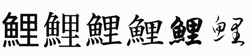 漢字「鯉」の書体比較