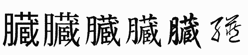 漢字「臓」の書体比較