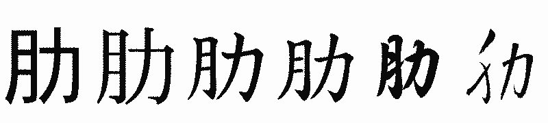 漢字「肋」の書体比較