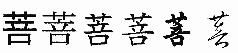 漢字「菩」の書体比較
