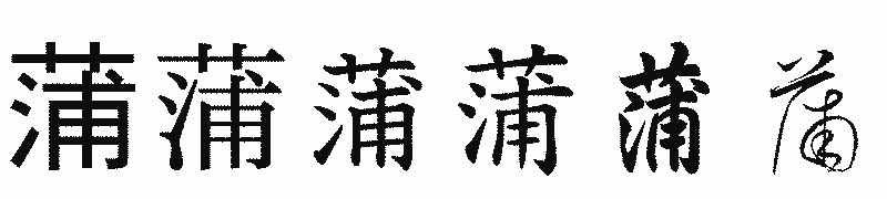 漢字「蒲」の書体比較