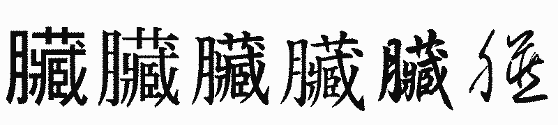 漢字「臟」の書体比較