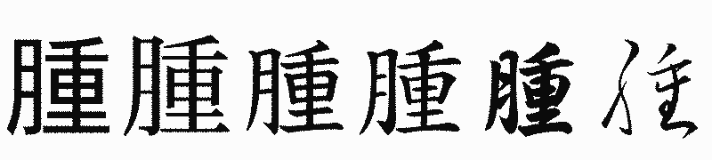 漢字「腫」の書体比較