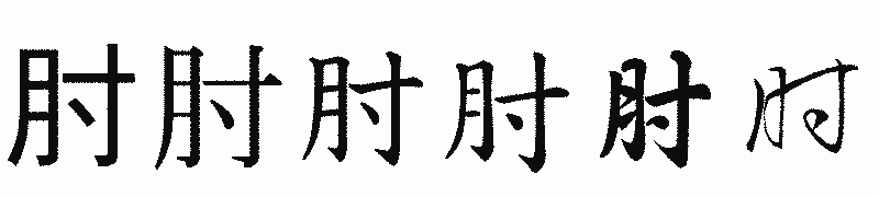 漢字「肘」の書体比較