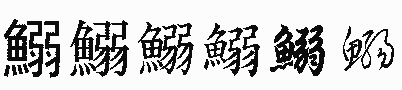 漢字「鰯」の書体比較