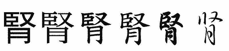 漢字「腎」の書体比較