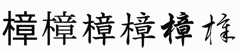 漢字「樟」の書体比較