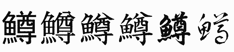漢字「鱒」の書体比較