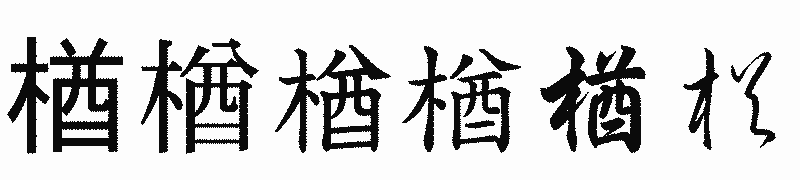 漢字「楢」の書体比較