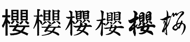 漢字「櫻」の書体比較