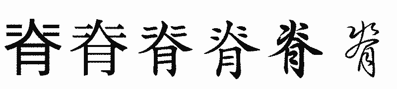 漢字「脊」の書体比較