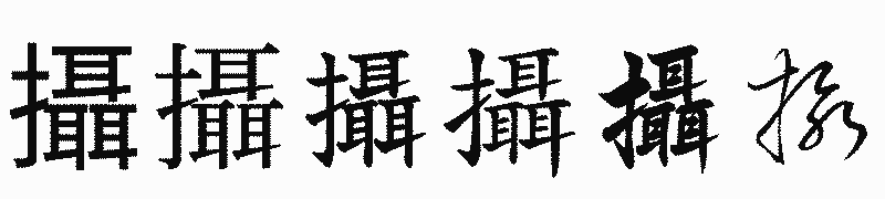 漢字「攝」の書体比較