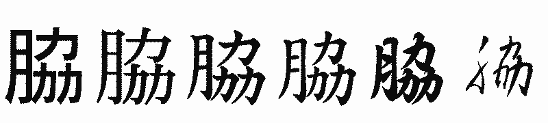 漢字「脇」の書体比較